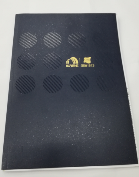 洛迪環(huán)?？萍计髽I(yè)宣傳畫冊印刷圖1