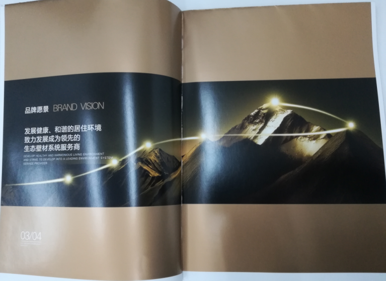 洛迪環(huán)?？萍计髽I(yè)宣傳畫冊印刷圖2