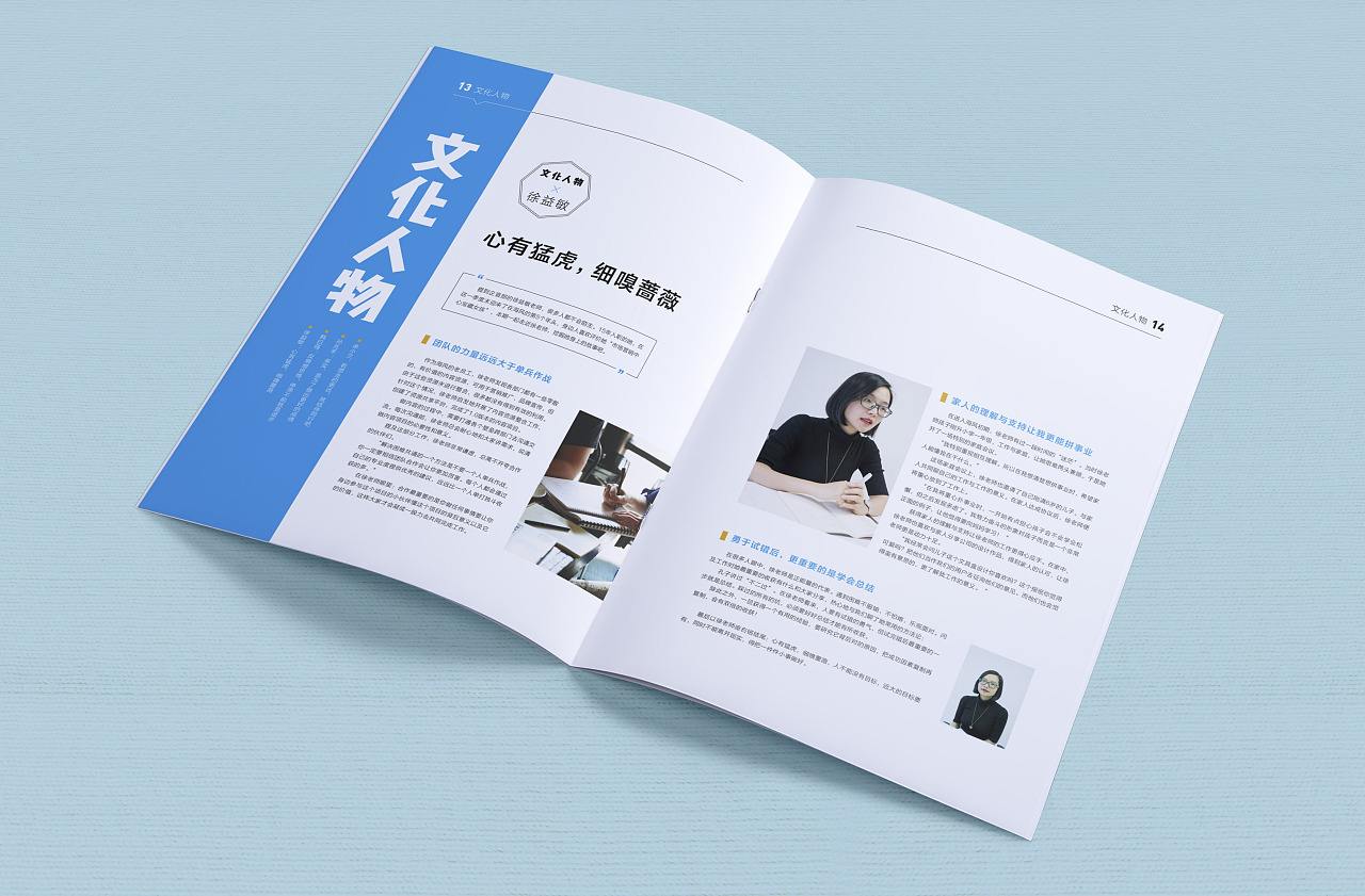 畫(huà)冊(cè)宣傳冊(cè)印刷